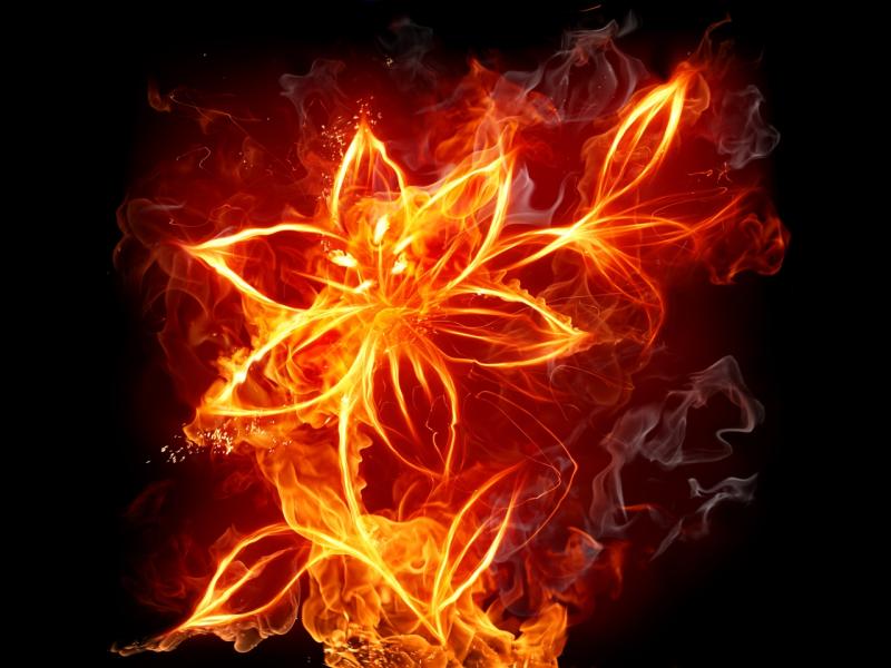 Floral Fire Picture Backgrounds