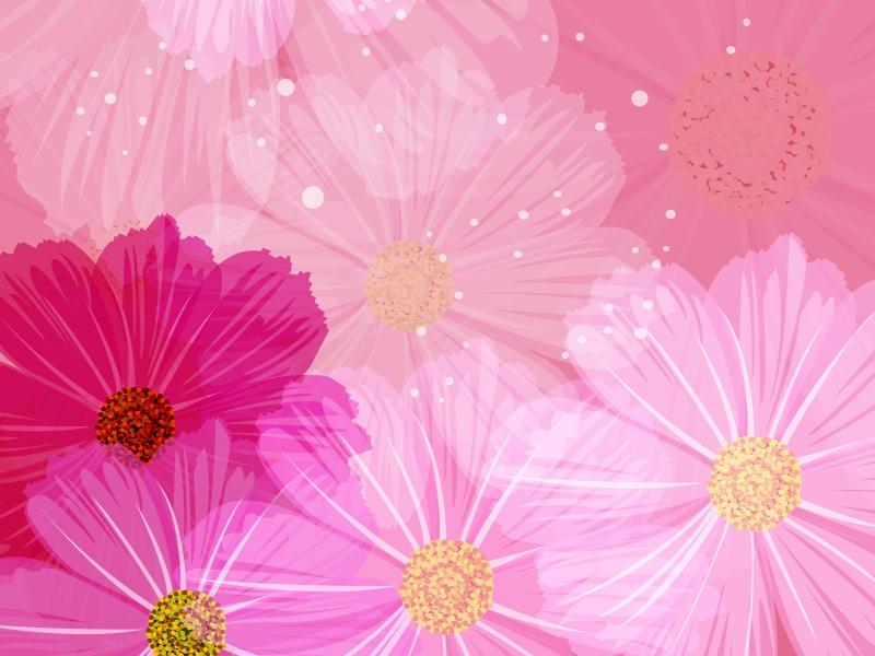 Floral Pattern  Flower Design  Floral 1600*1200 Design Backgrounds