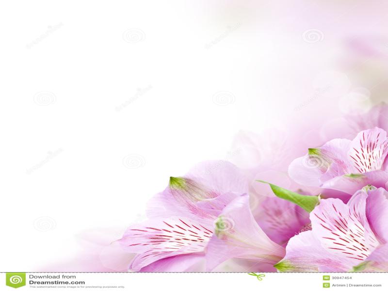 Flower Border Design Backgrounds