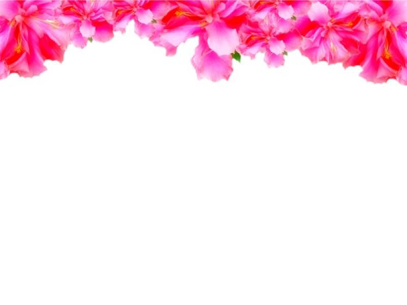 Flower Border Presentation Backgrounds