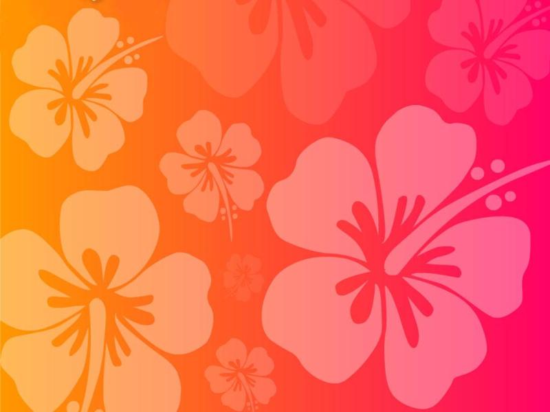 Flower Pink Orange Hawaiian Wallpaper Backgrounds