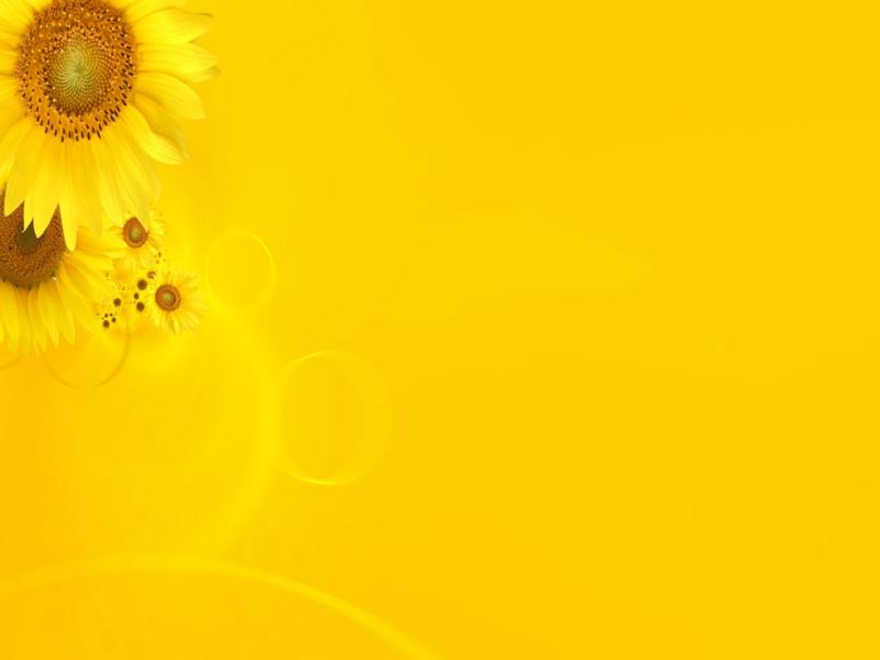 Flower Yellow Clipart Backgrounds