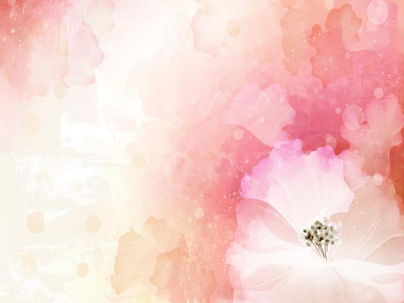 Flowers  Flower  Images Of Flower  #12 Free HD   Quality Backgrounds