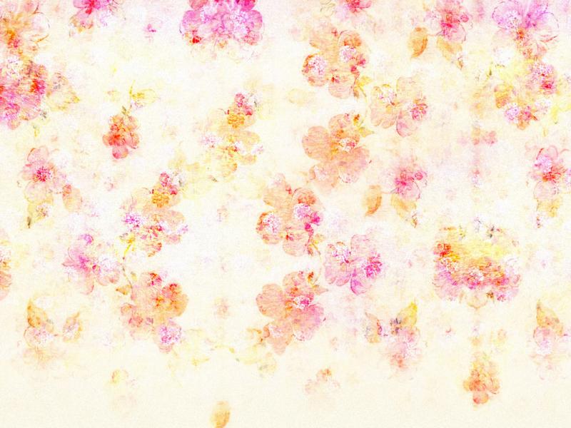 Flowers On White For PowerPoint  Flower   Presentation Backgrounds