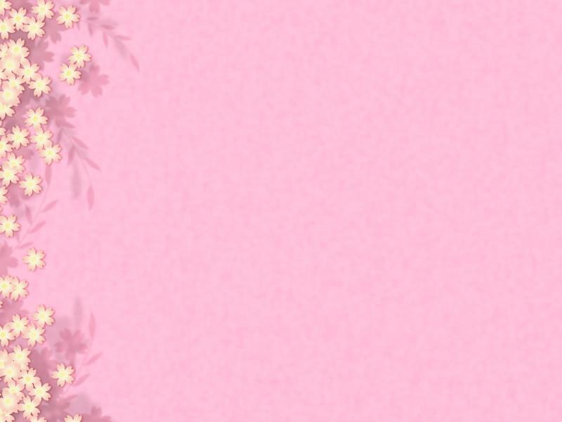 Flowers With Pink Backgrounds