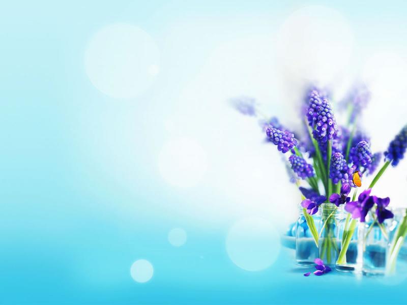 Free Flower Tulip For PowerPoint  Flower Art Backgrounds
