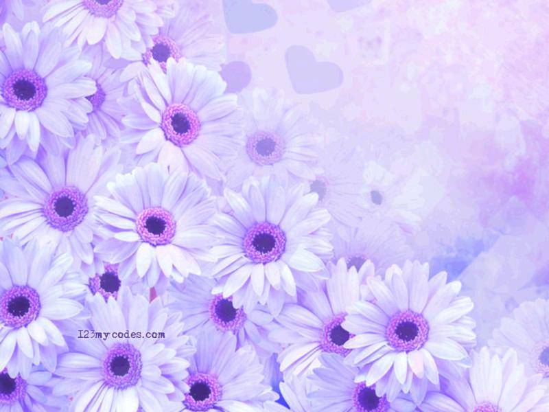 Free Flowers and Other Nature Desktop Get    Slides Backgrounds