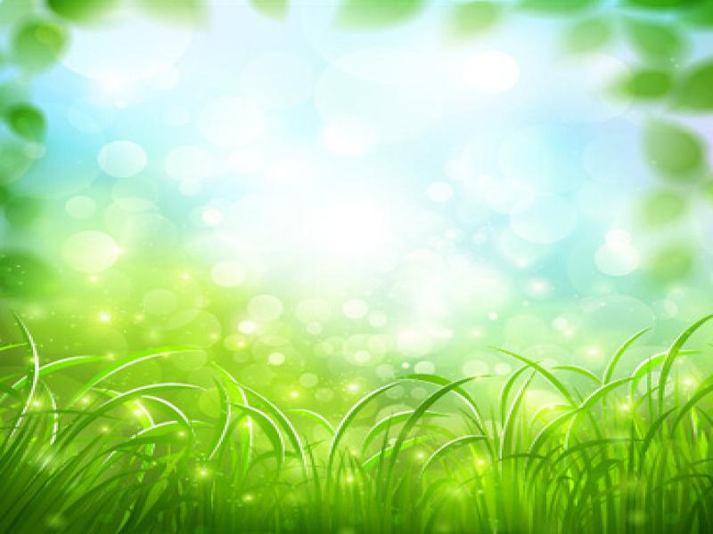 Free Green Vector Slides Backgrounds