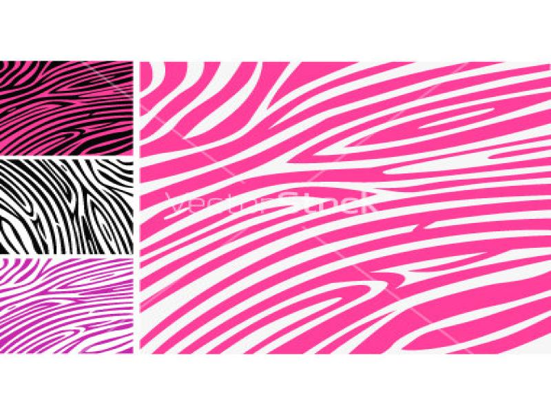 Free Zebra Animal Template For PowerPoint Animal PPT   Quality Backgrounds