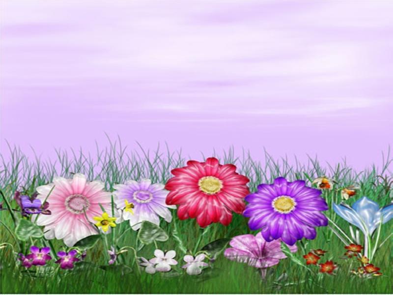 Gaze Floral Slides Backgrounds