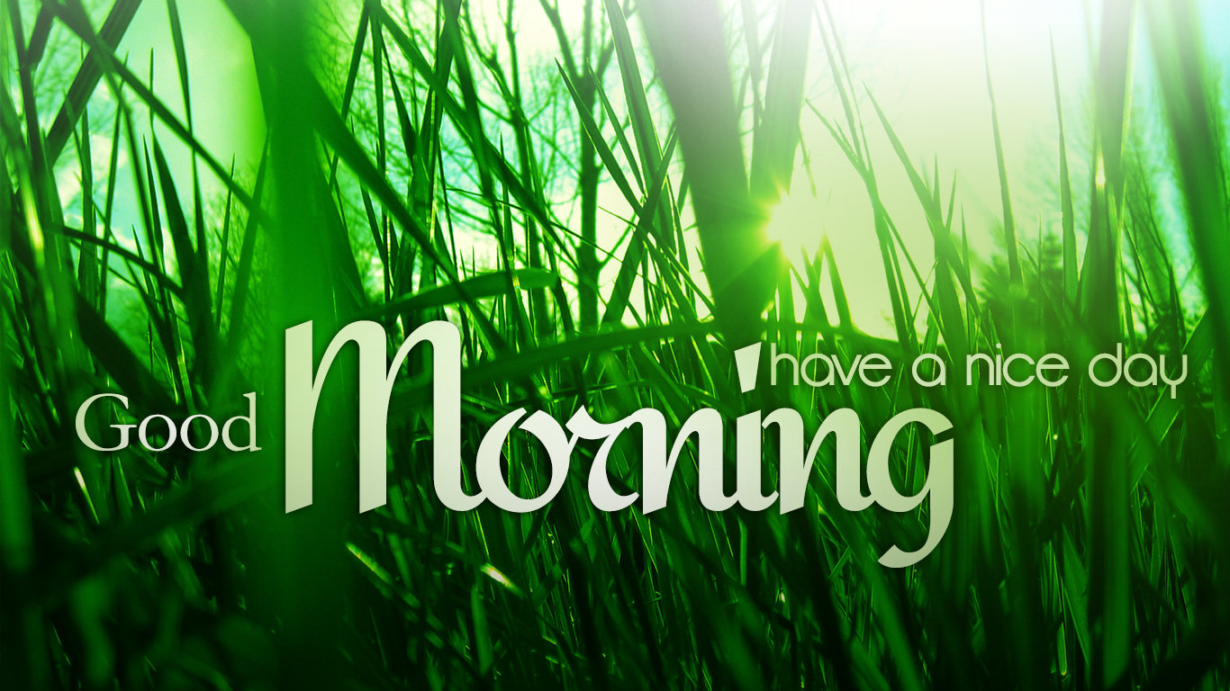 Презентация good morning