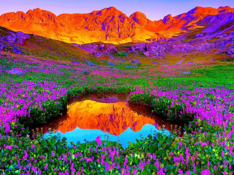 Gorgeous landscape colors Backgrounds