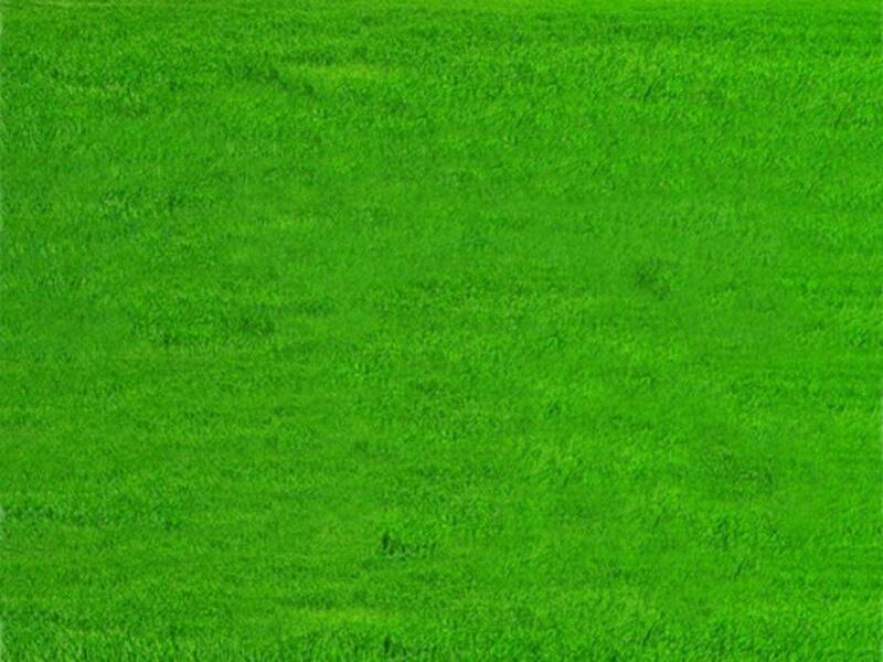 Grass Grass  Frame Backgrounds