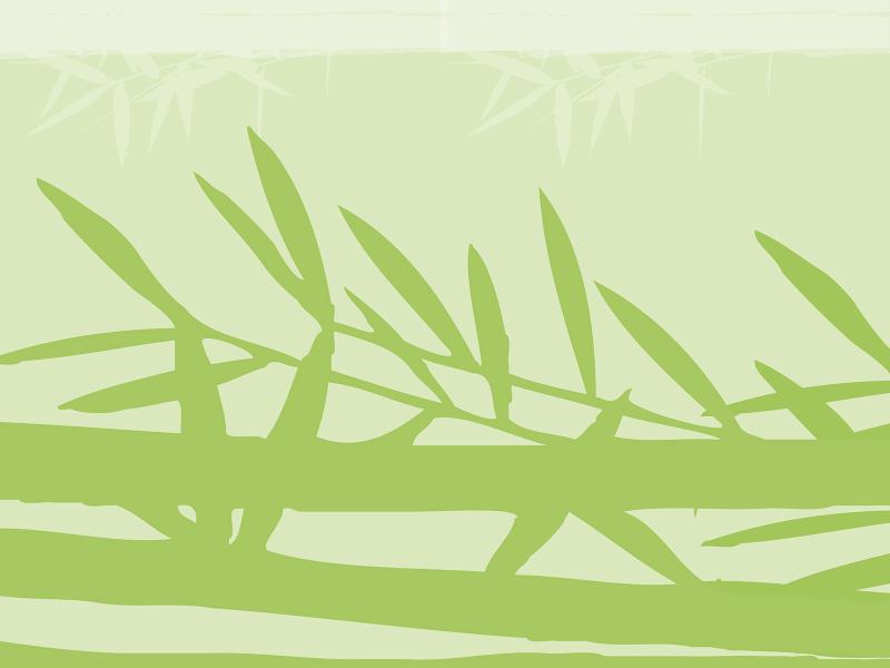 Green Bamboo Backgrounds