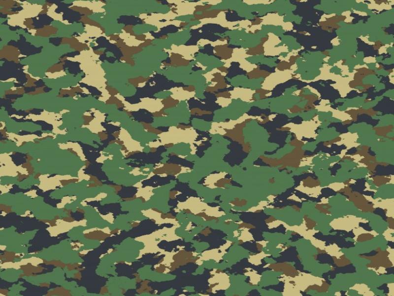 Green Effect Camouflage Slides Backgrounds