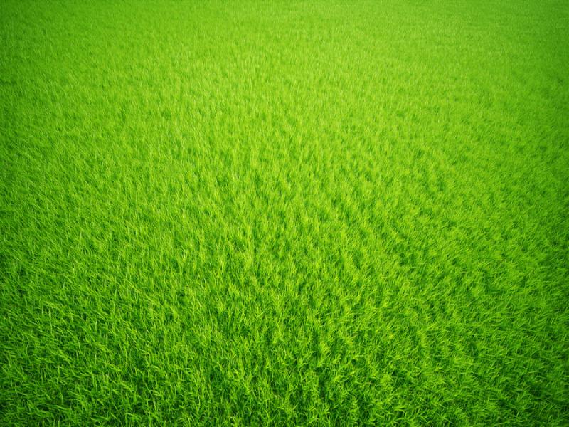 Green Grass By SoulArt2012 On DeviantArt Clip Art Backgrounds