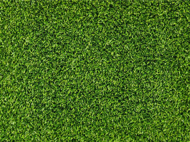 Green Grass Texture Hd  List Quality Backgrounds