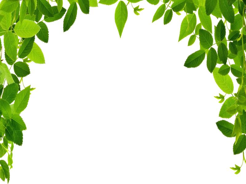 Green Leaf Border Art Backgrounds for Powerpoint Templates - PPT ...