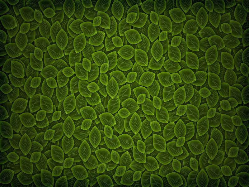 Green Leaf Pattern Backgrounds
