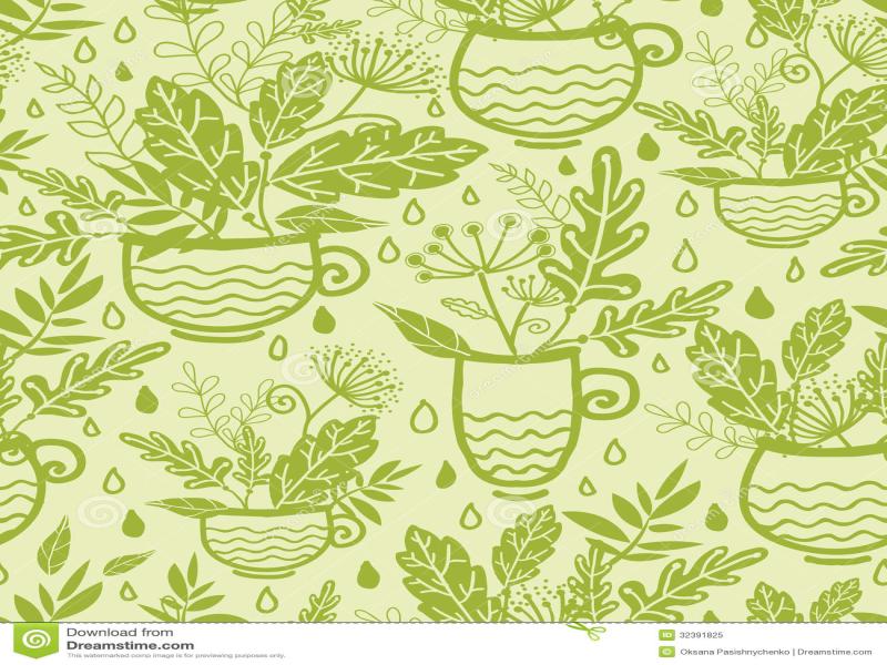 Green Tea Cups Design Backgrounds