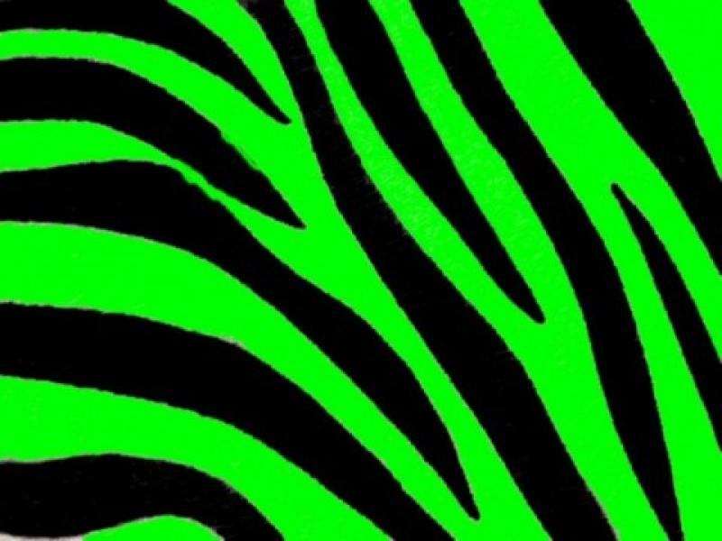 Green Zebra Print CategoryPets and Animals Resolution480x360 Tags   Graphic Backgrounds