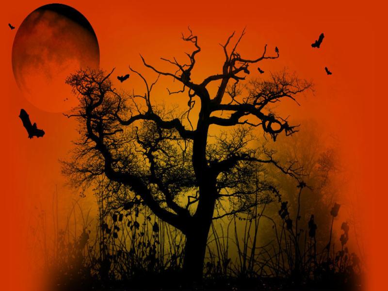 Halloween Slides Backgrounds