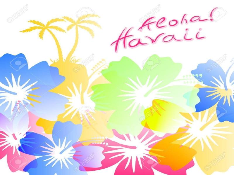 Hawaii Colorful Slides Backgrounds