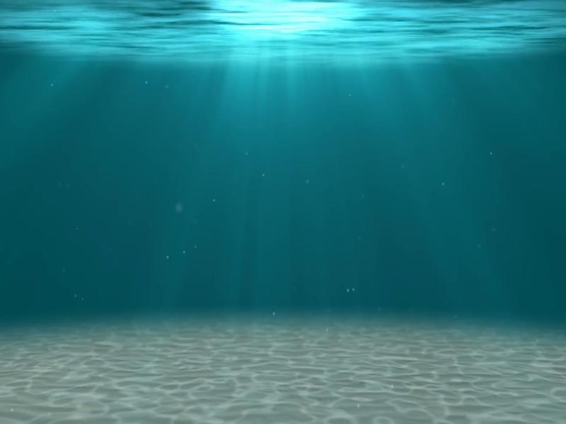 Hd Motion Underwater Backgrounds