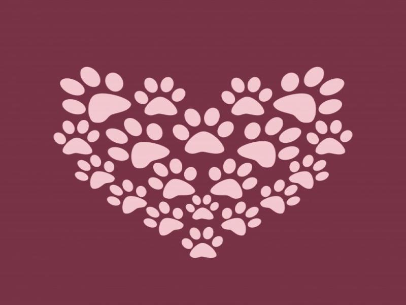 Heart Paw Print Backgrounds