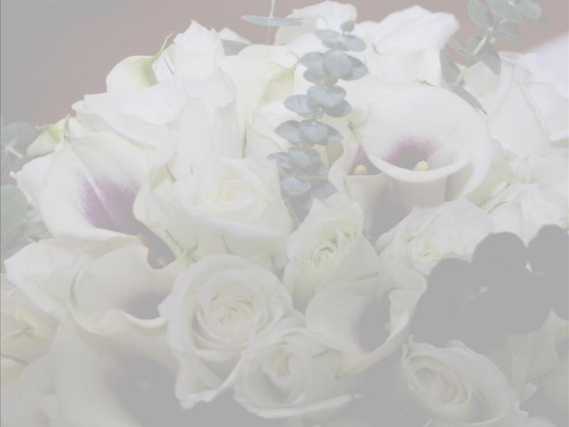 Home > Wedding Floral 1 Design Backgrounds