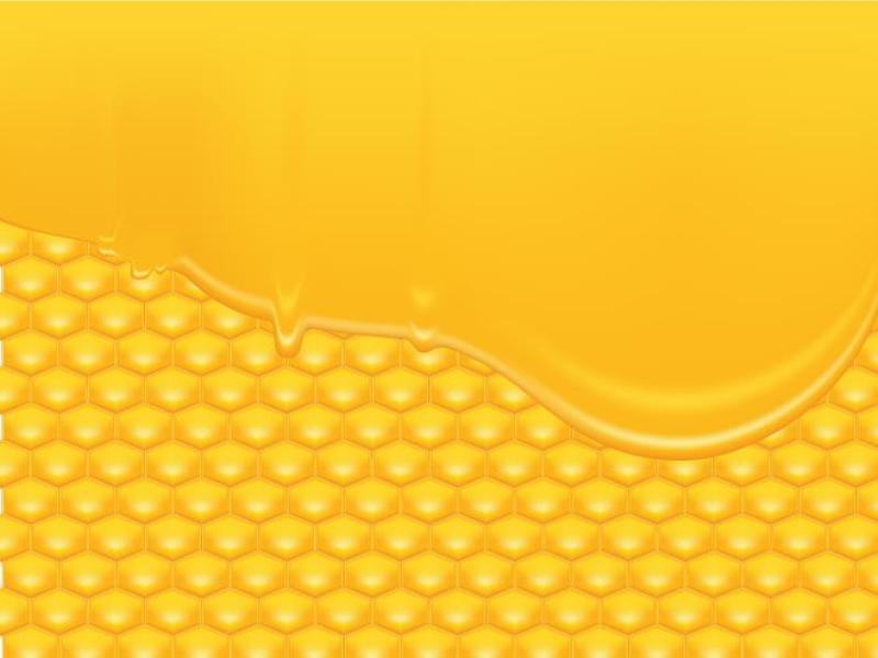 Honeycomb Vector Frame Backgrounds