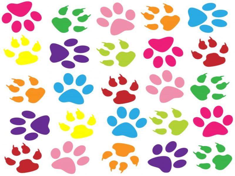 Imagepgkl Paw Print Art Backgrounds