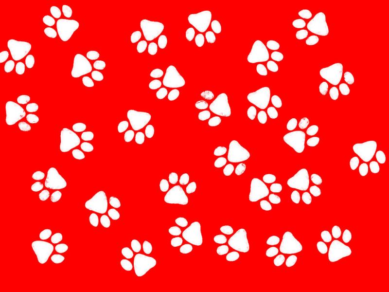 Is A Lourful Red and White Paw Print For Your Desktop Presentation Backgrounds