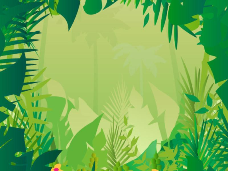 Jungle Safari Photo Backgrounds