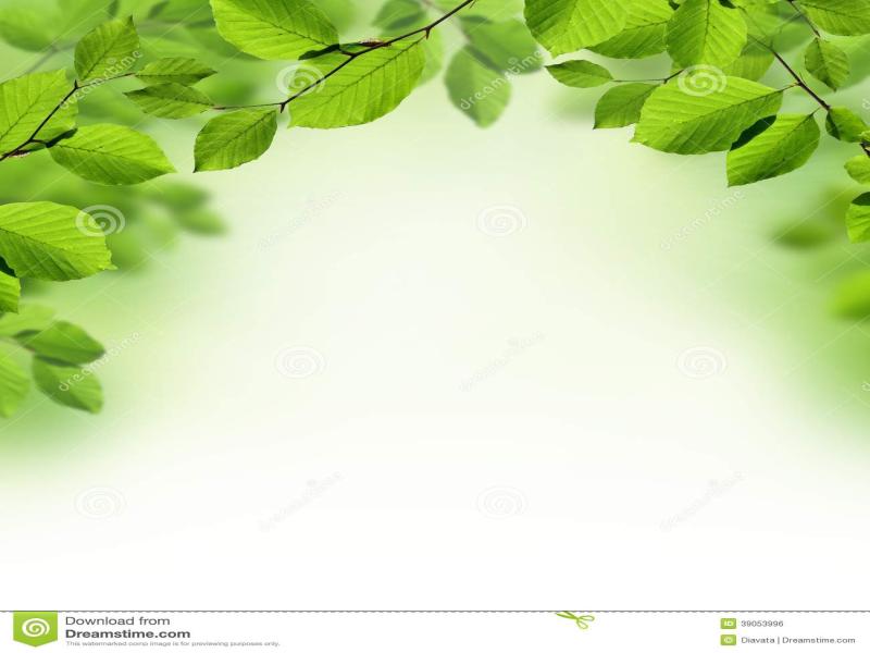 Leaf Border Clipart Backgrounds