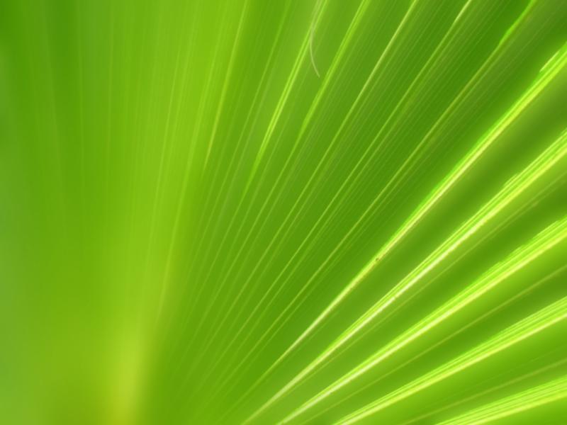 Light Color Wallpaper Backgrounds