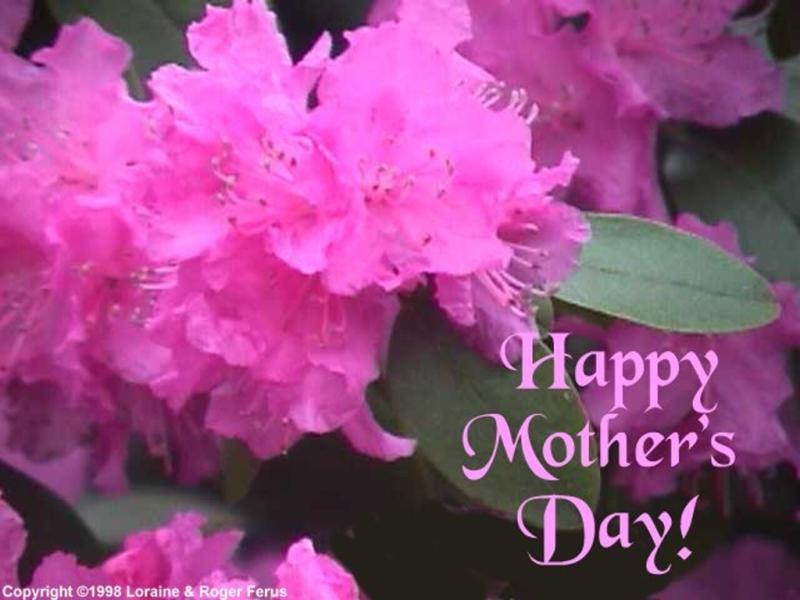 Mothers Day Flowers Design Backgrounds