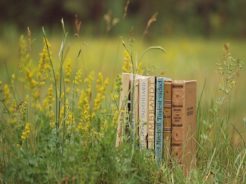 Natural Book Backgrounds