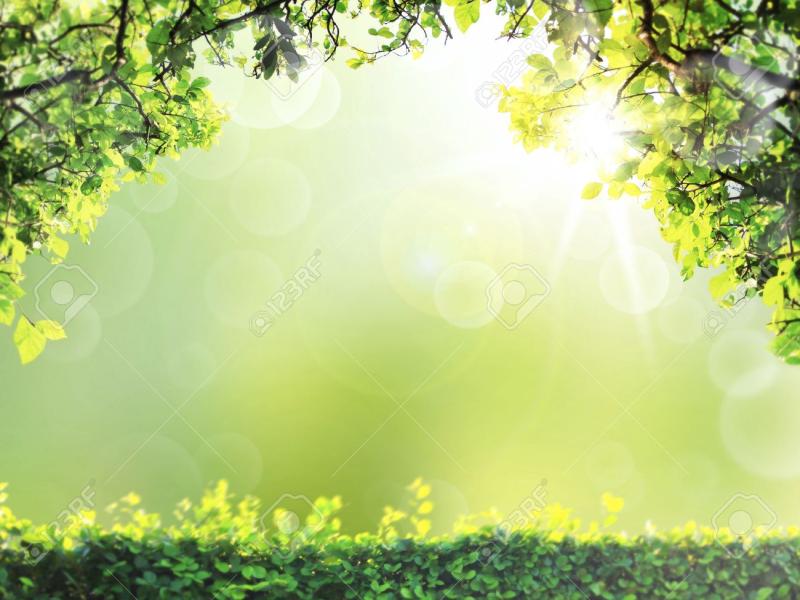 Natural Green Spring or Summer Season Abstract Nature Backgrounds