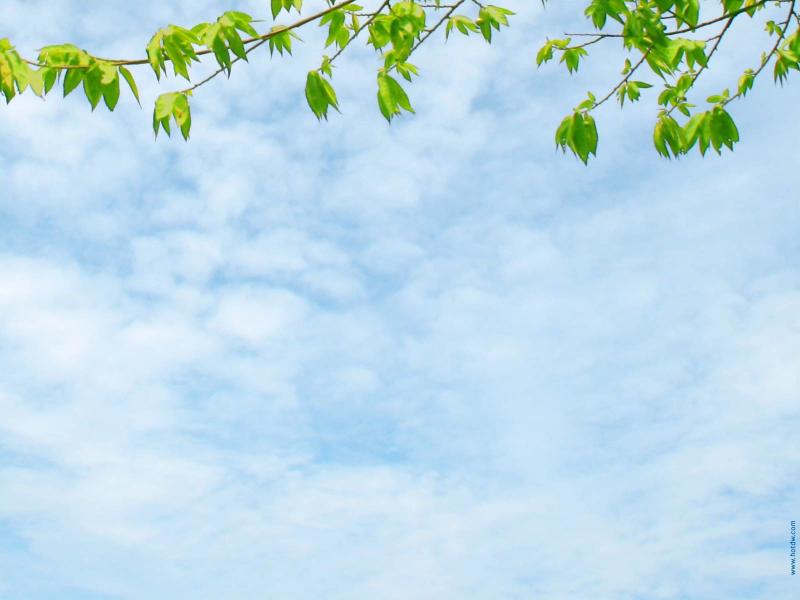 Nature Clouds Unique Slides Backgrounds