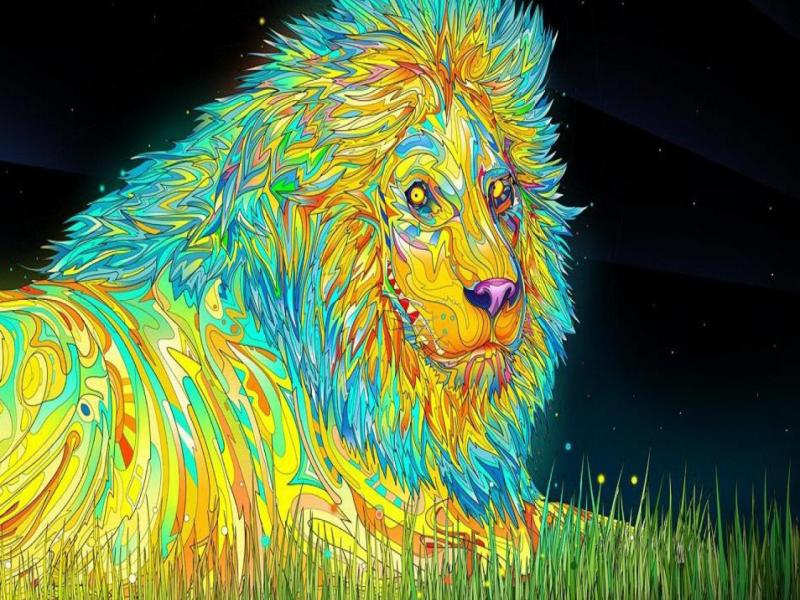 New Lion Psychedelic Hd Frame Backgrounds