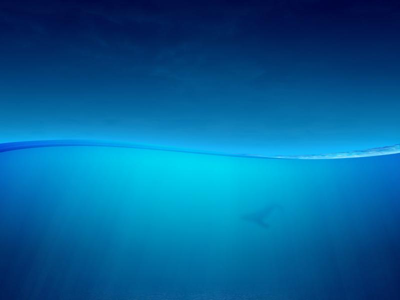 Ocean Backgrounds