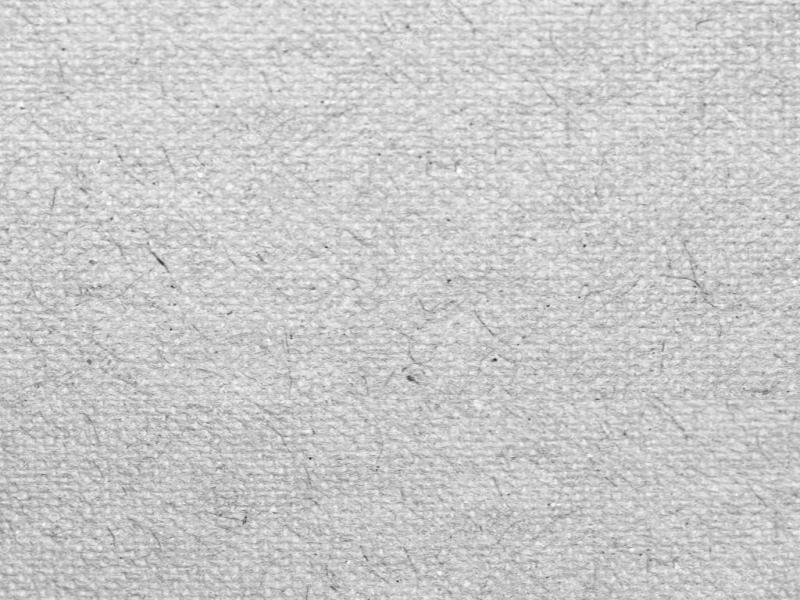 Old White Paper Texture Fiber Parchment With Delicate   Photo Backgrounds