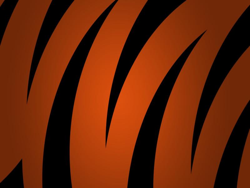 Orange and Black Tiger Template Backgrounds