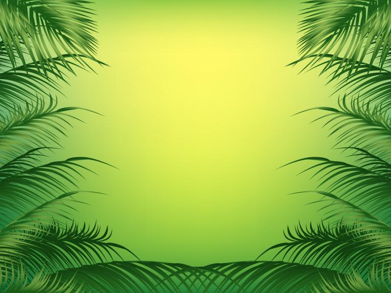 Palm Frame Backgrounds