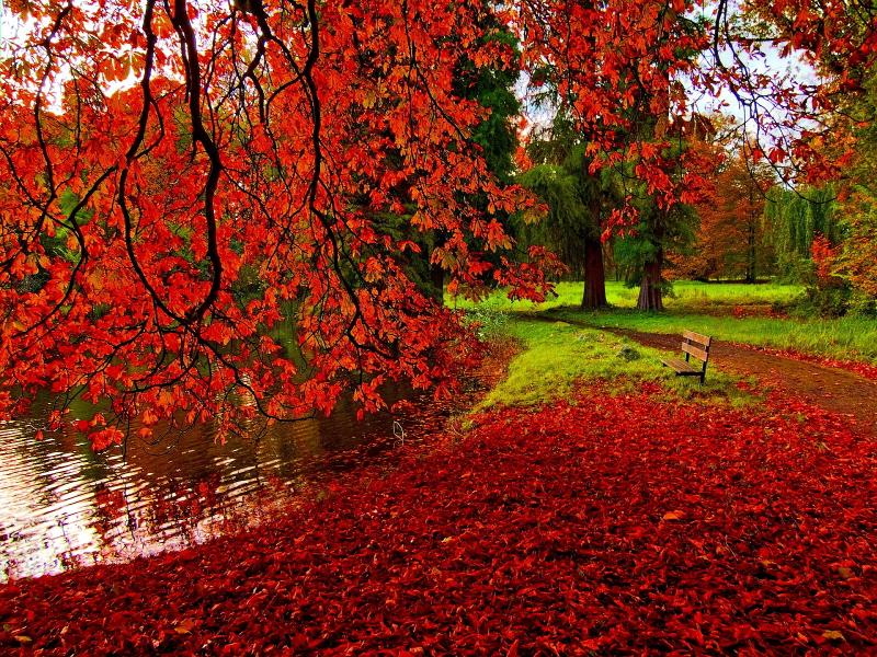 Park Autumns Pictures Photos Images Backgrounds for Powerpoint ...