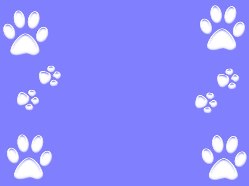 Paw Print Desktop  Tera Slides Backgrounds