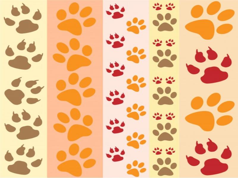 Pics Photos  Paw Print By Karen Arnold Graphic Backgrounds