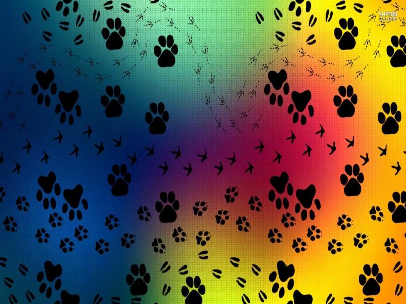 Pics Photos  Paw Print Paw Prints Pattern Picture Backgrounds
