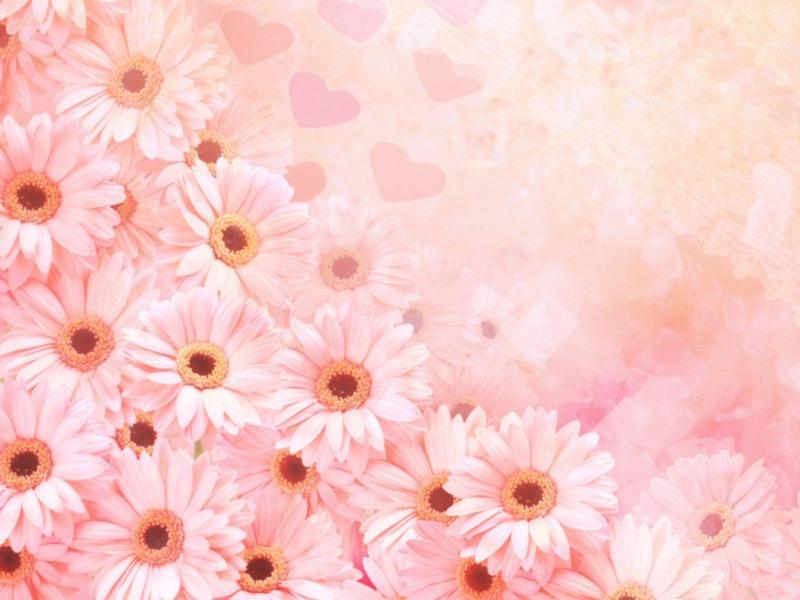 Pink Flower Template Design Backgrounds